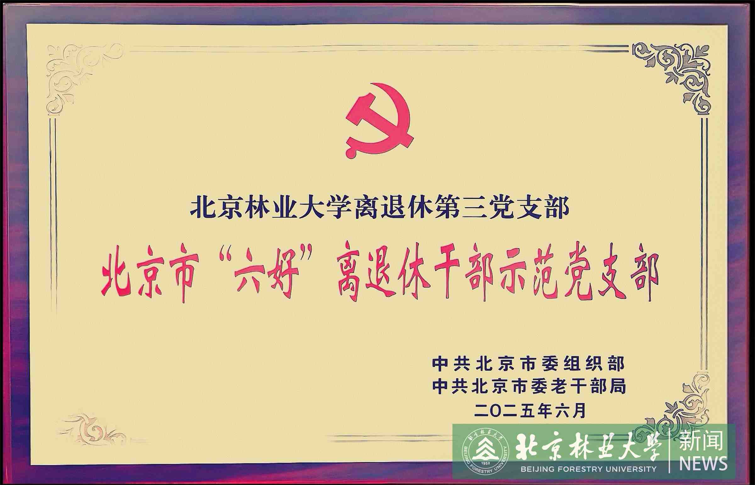 奖牌.jpg