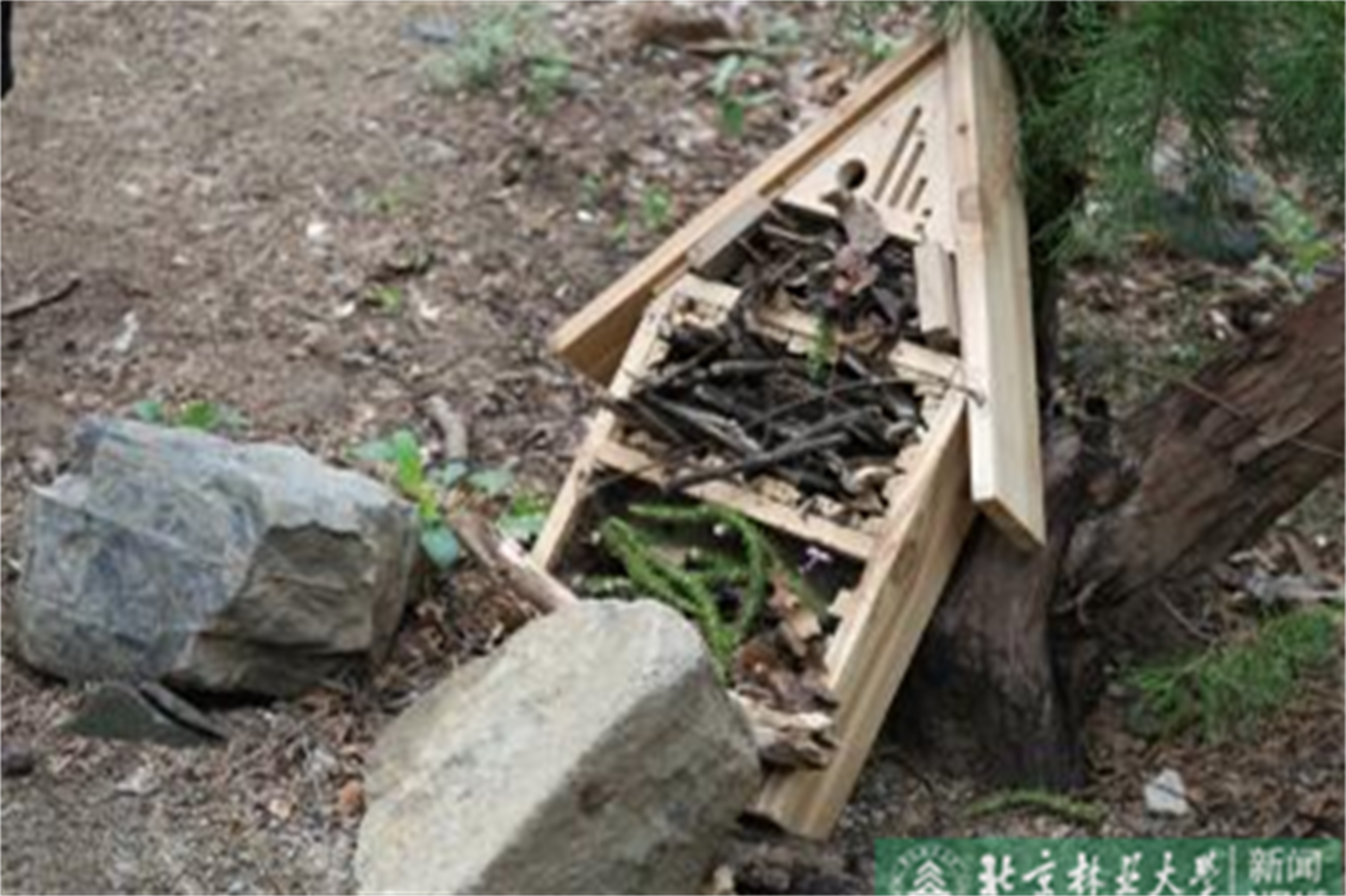 图片10.png